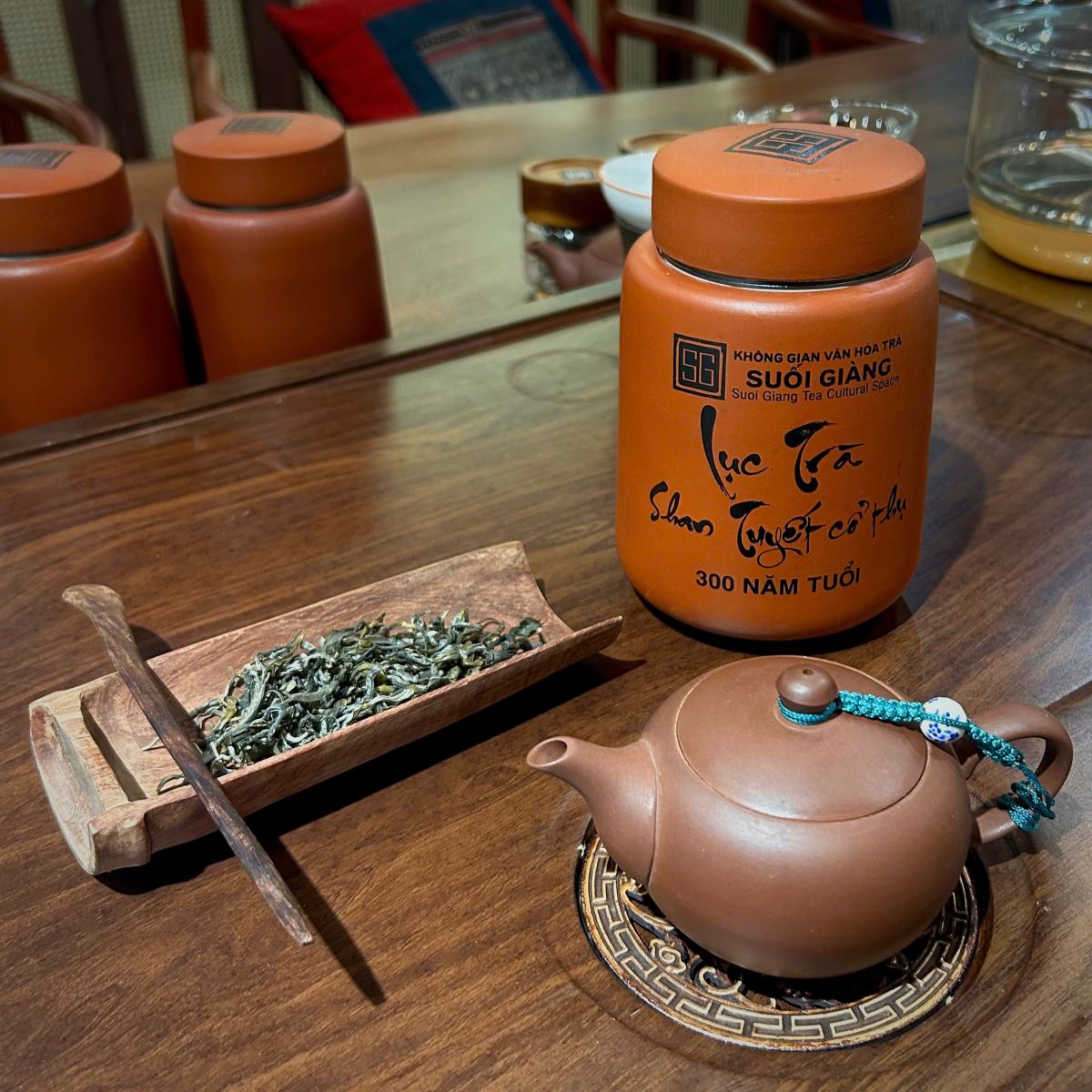 Lục Trà Shan Tuyết Cổ Thụ Suối Giàng